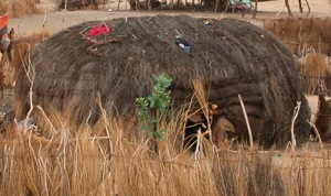 house_haystack