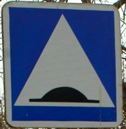 Speed Bump