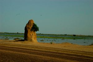 Tonka road